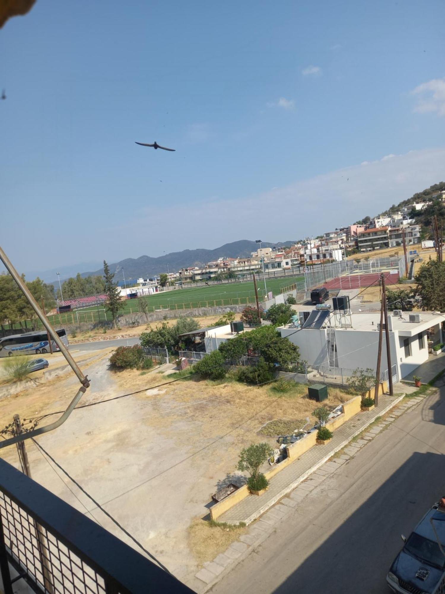 Hotel Tainaro Loutra Edipsou (Evia) Exterior foto